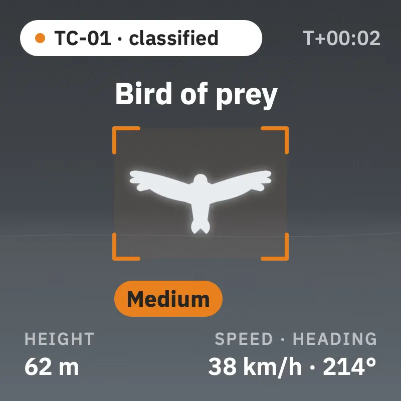 Camera frame with the detection box and the species label