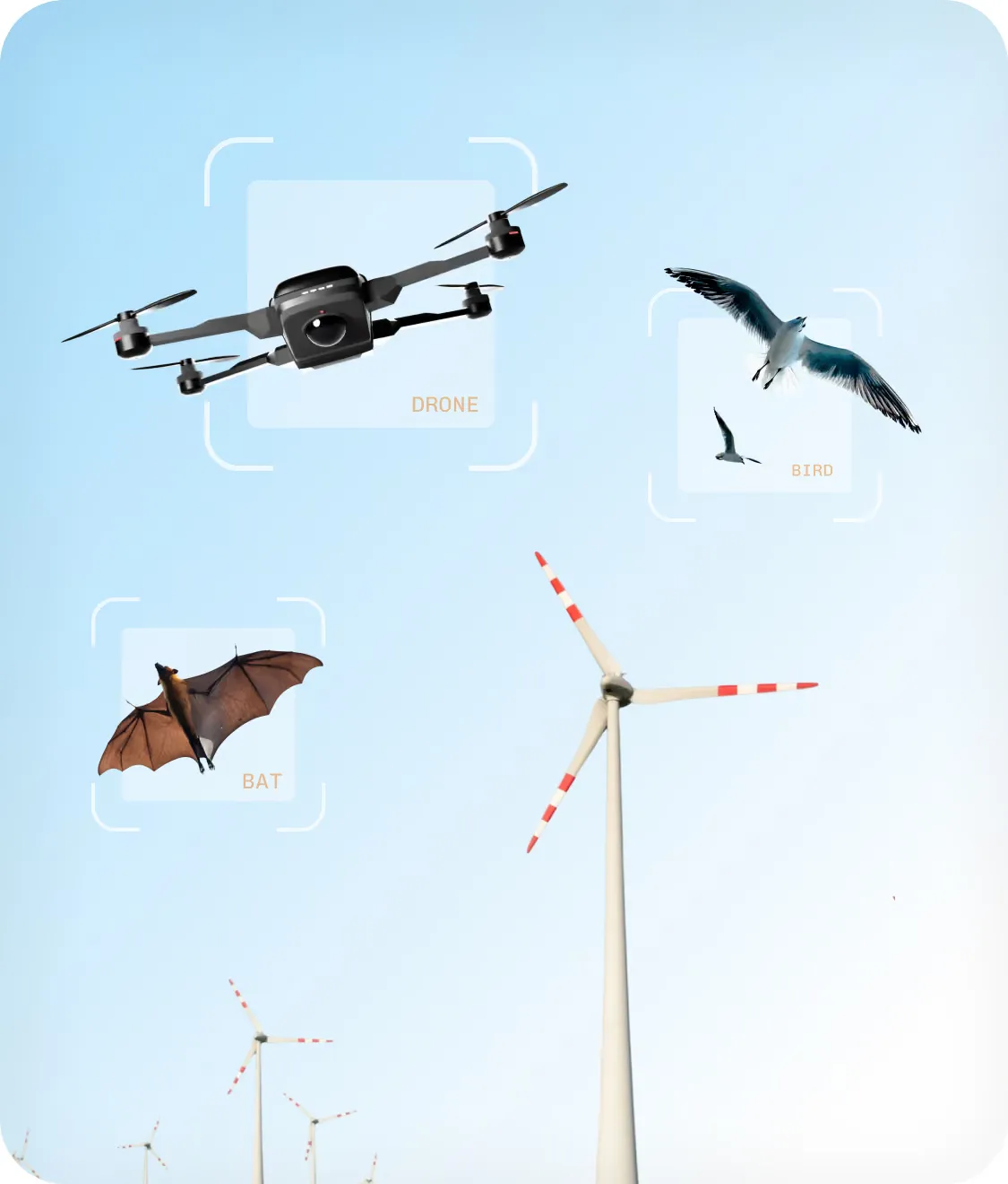 Classification frames on a drone, a gull and a third target over wind turbines, each labelled