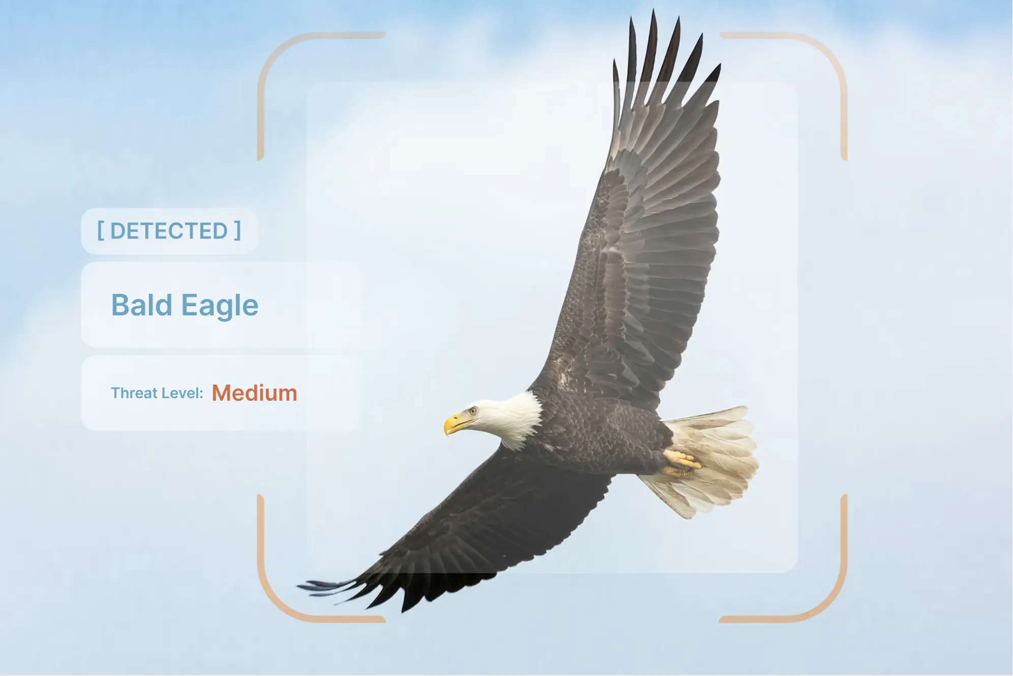 A camera station scanning the approach path